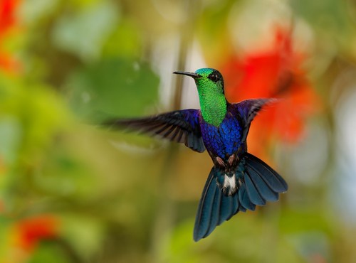 10 DAY GUATEMALA OFF THE BEATEN TRACK AVENTURE
