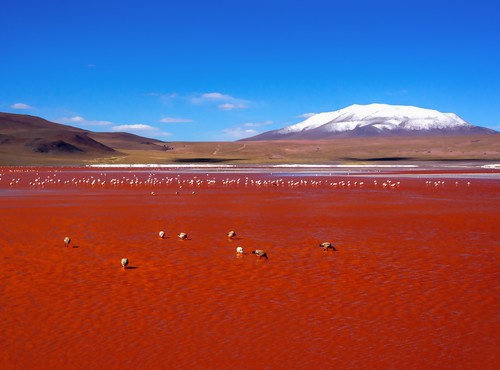 10-DAY MULTI-DESTINATION BOLIVIA
