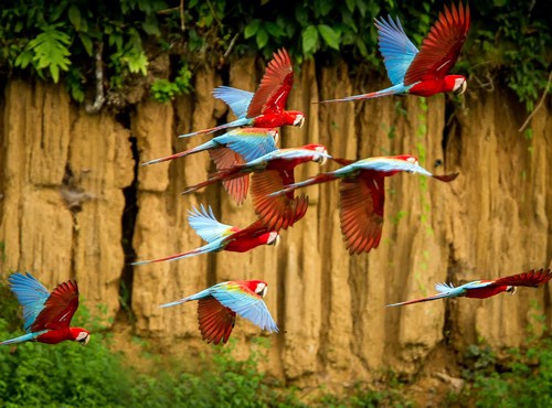 12 DAY AMAZON LUXURY AND MACHU PICCHU