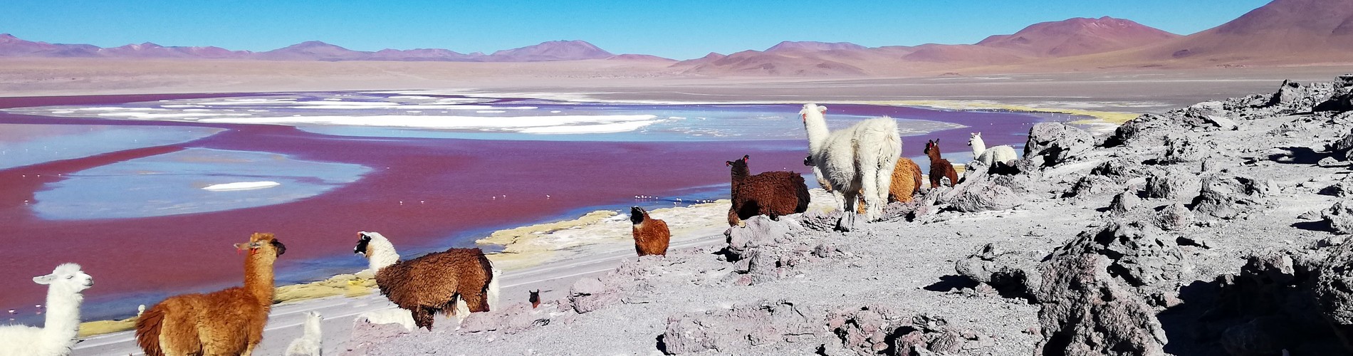 9-DAY LUXURY BOLIVIA TOUR