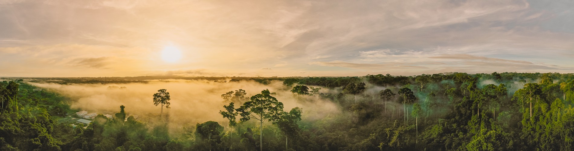 Adventure in the Amazon Rainforest