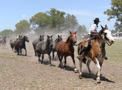 ARGENTINE ESTATES