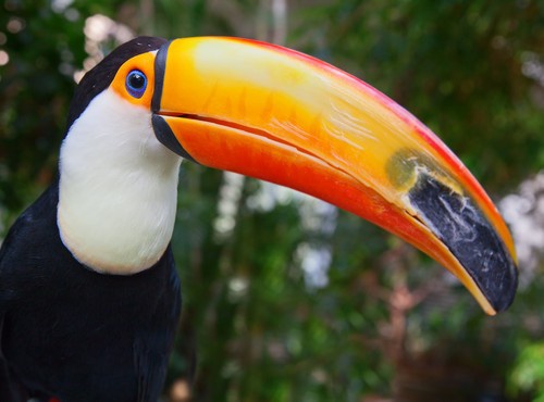 BEST PLACES TO VISIT IN CENTRAL AND SOUTH AMERICA (in no particular order).