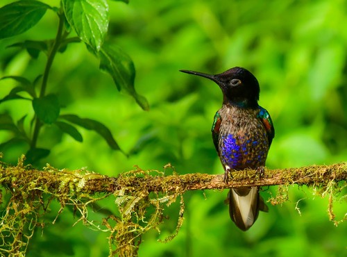 BEST THINGS TO DO IN ECUADOR