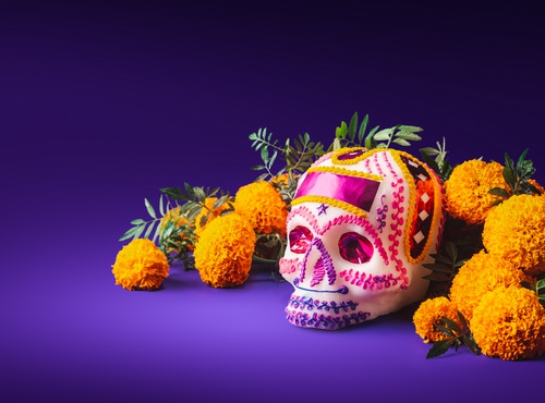 BEST THINGS TO DO IN MEXICO