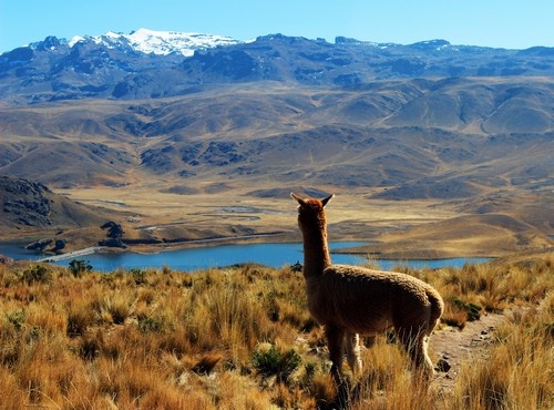 BEST THINGS TO DO IN PERU