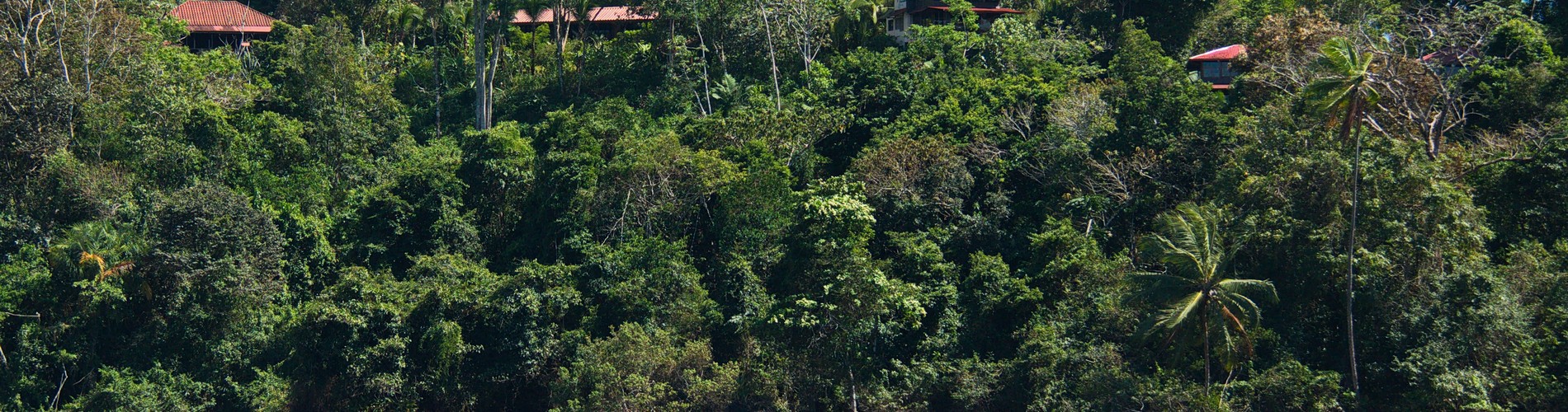 CAMINOS DE OSA IMMERSION EXPERIENCE