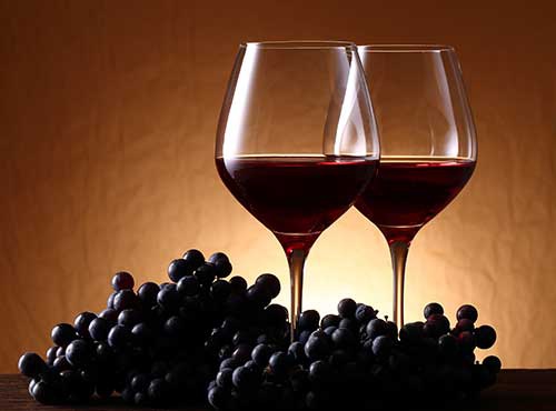 CHILEAN VINEYARDS