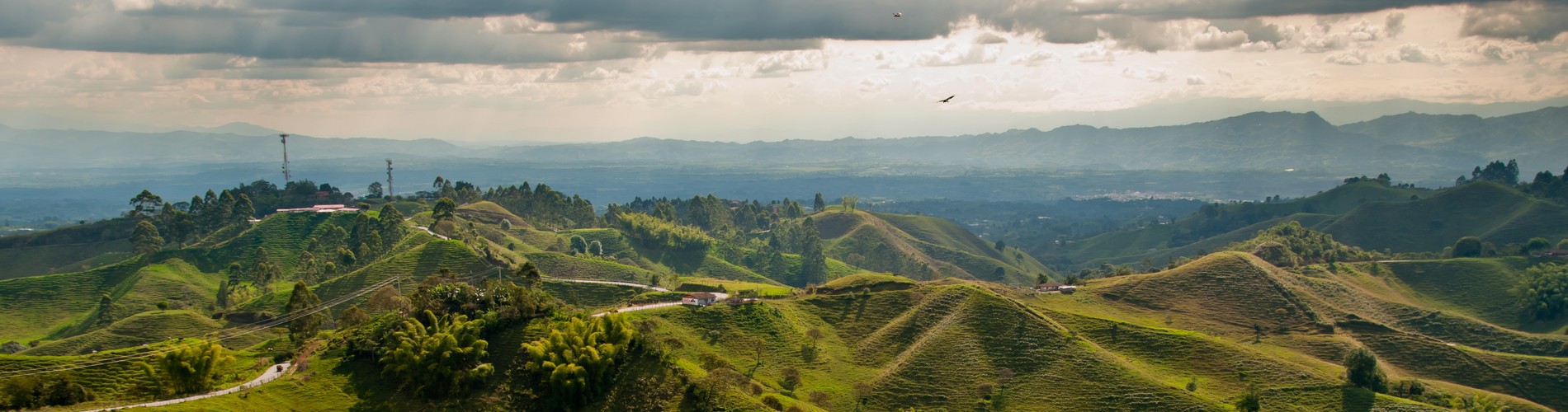 COFFEE TRIANGLE OF COLOMBIA