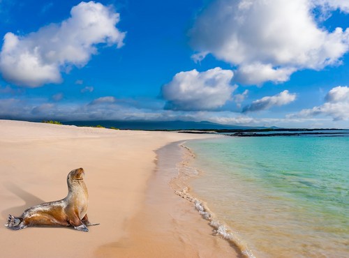 COMPLETE ECUADOR AND GALAPAGOS ADVENTURE