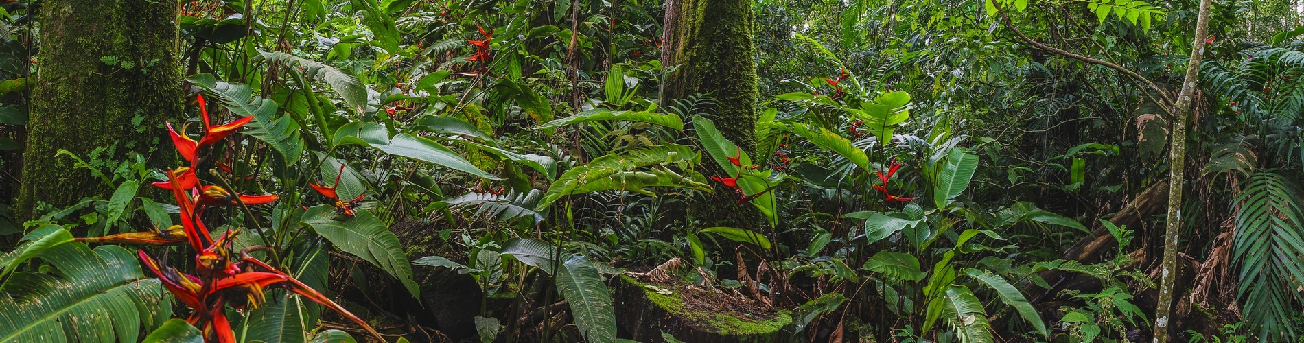 COSTA RICA´S ECO-TOURISM HIGHLIGHTS