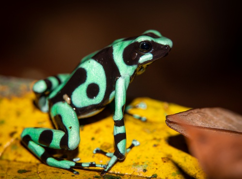 COSTA RICA -TOP TEN PLACES TO VISIT