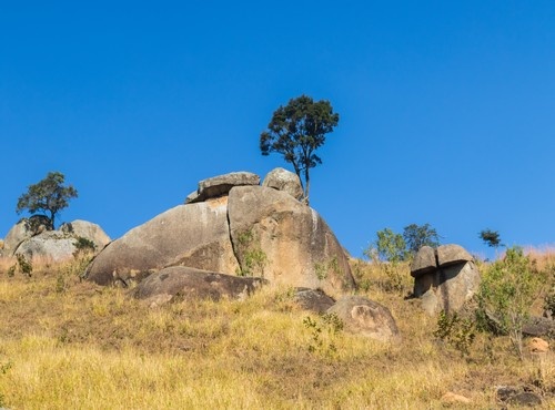 EXPLORING THE ECOLOGICAL WONDERS OF BRAZIL ON OUR 11-DAY TOUR