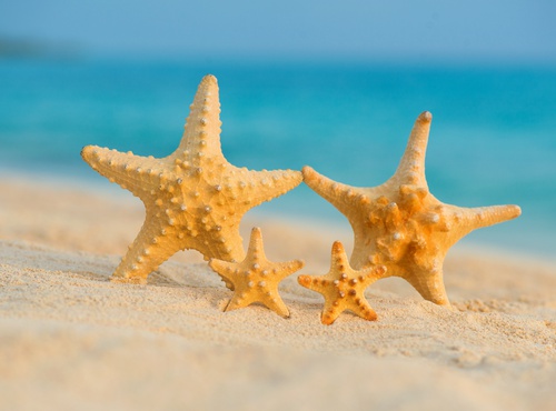 FAMILY FOCUSSED DAY TRIPS FROM CANCUN AND THE RIVIERA MAYA