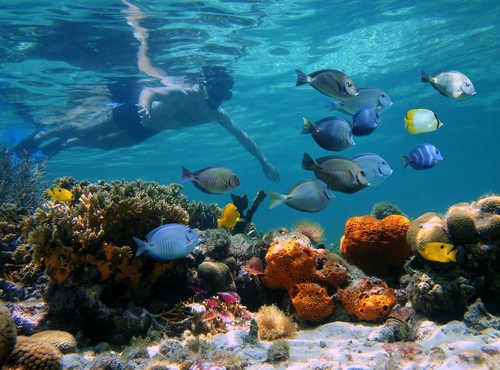 GREAT ADVENTURE TRIPS IN PANAMA