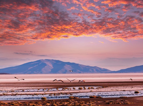 INTERESTING FACTS ABOUT BOLIVIA
