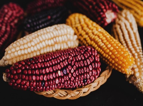 INTERESTING FACTS ABOUT MEXICO