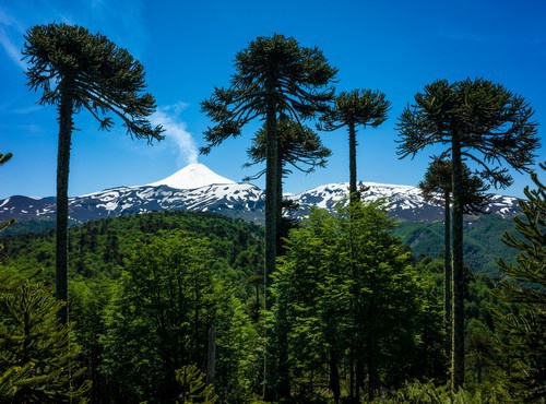 IS CHILE SAFE TO TRAVEL?