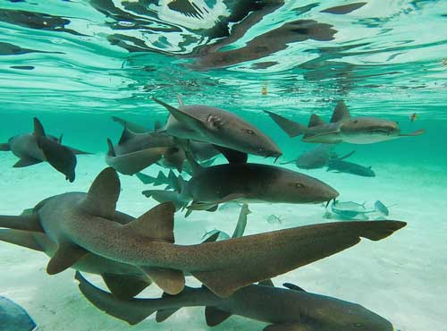 IS IT SAFE TO TRAVEL IN BELIZE?
