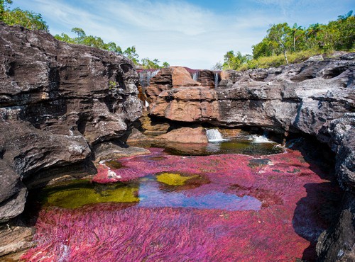 NATURALLY COLOMBIA 12-DAY TOUR