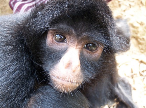 NON-TOURISTIC ACTIVITIES IN BOLIVIA