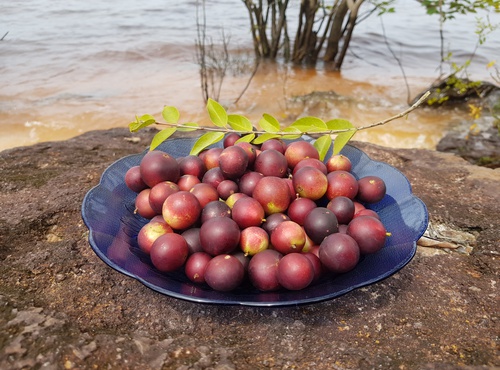 PERU- SUPER FOOD CAPITAL OF THE WORLD?