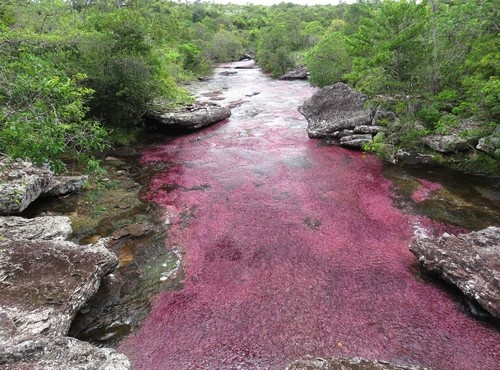 THE 4-DAY CAÑO CRISTALES ADD-ON