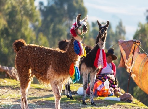 THE 5-DAY MACHU PICCHU TRADITIONAL