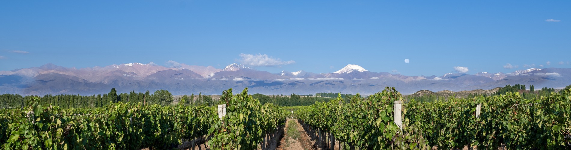 THE ARGENTINE ADVENTURE