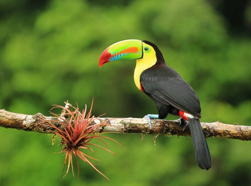 THE BEST ACTIVITIES TO DO IN COSTA RICA