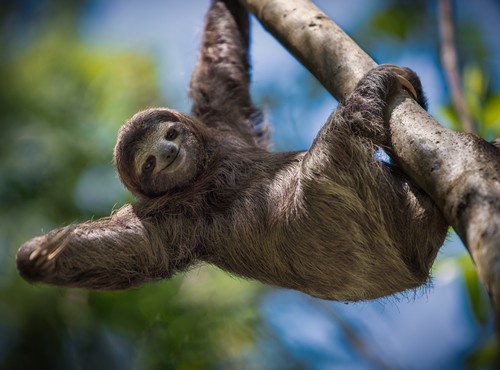THE BEST OUTDOOR ACTIVITIES IN COSTA RICA