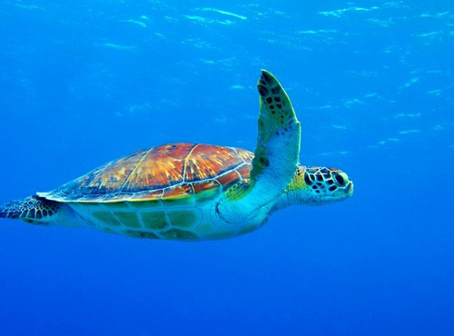 THE BEST PLACES TO VISIT IN BELIZE