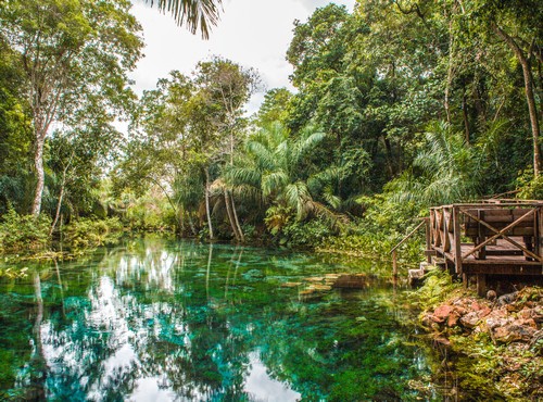 THE BEST PLACES TO VISIT IN BRAZIL