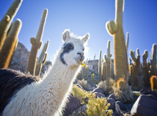 THE BEST TIME TO VISIT ARGENTINA