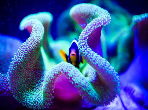 THE BEST TIME TO VISIT BELIZE