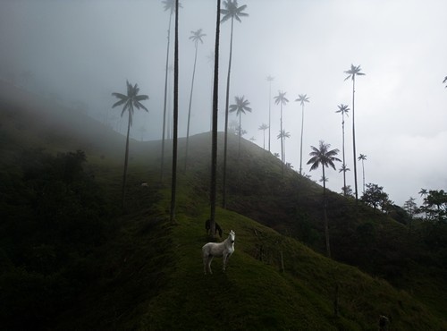 THE BEST TIME TO VISIT SOUTH AMERICA