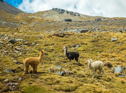 THE BEST TREKS IN SOUTH AMERICA