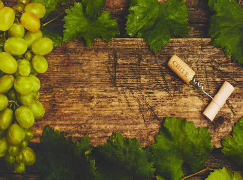 THE BEST VINEYARDS IN CHILE