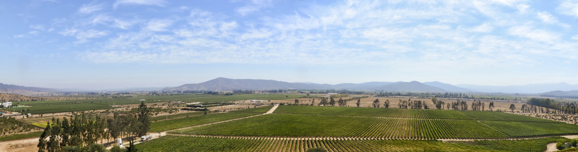 THE BEST VINEYARDS IN CHILE