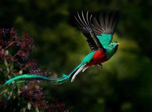 TRAVEL COSTA RICA