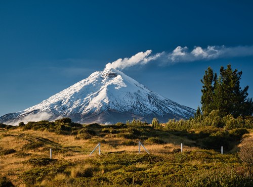 TRAVEL COSTS FOR ECUADOR