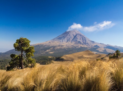 TREKKING IN MEXICO