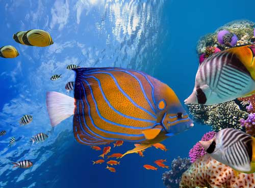 TRIP PLANNING FOR BELIZE