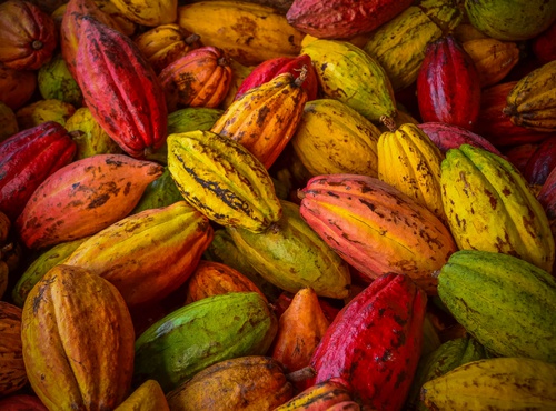 UNIQUELY PERUVIAN ITEMS FOR YOUR SHOPPING LIST
