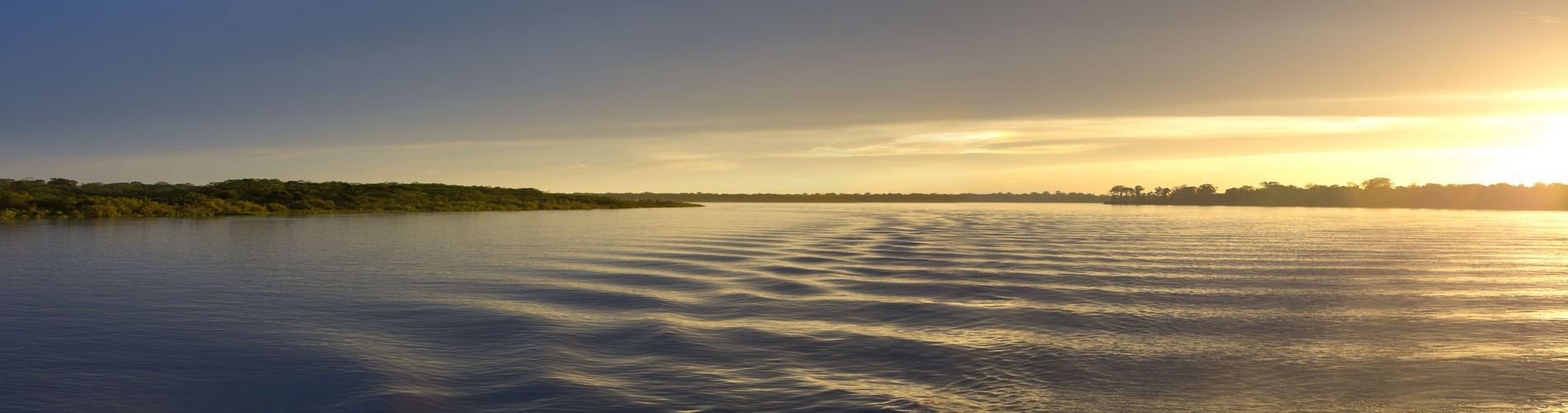 UNVEILING BRAZIL'S SECRETS AND SPICES