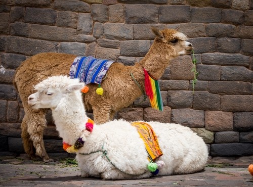 UNVEILING THE HIDDEN GEMS OF CUSCO