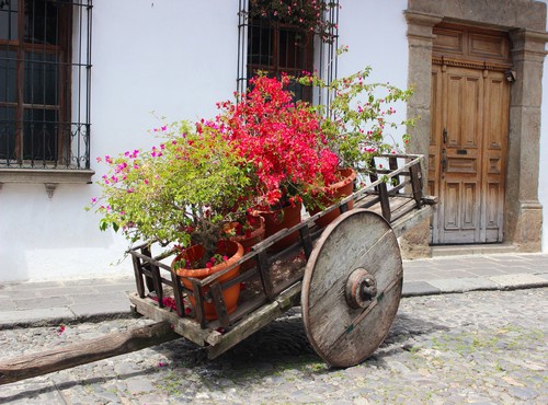 WHAT TO DO IN ANTIGUA, GUATEMALA