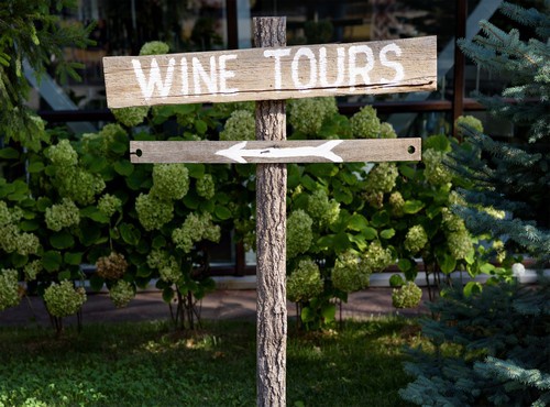 WHAT TO DO IN MENDOZA, ARGENTINA.