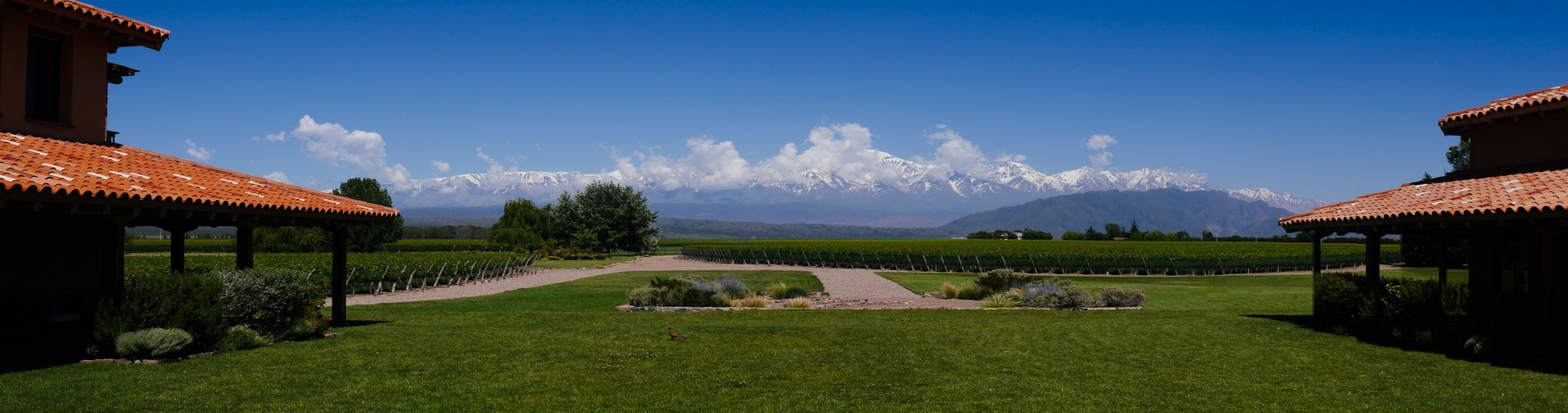 WHAT TO DO IN MENDOZA, ARGENTINA.