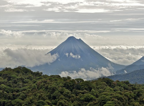 WHAT TO DO IN MONTEVERDE CLOUD FOREST